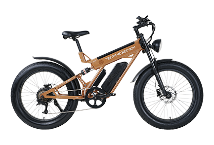Xe đạp trợ điện Phoenix BLADETOP