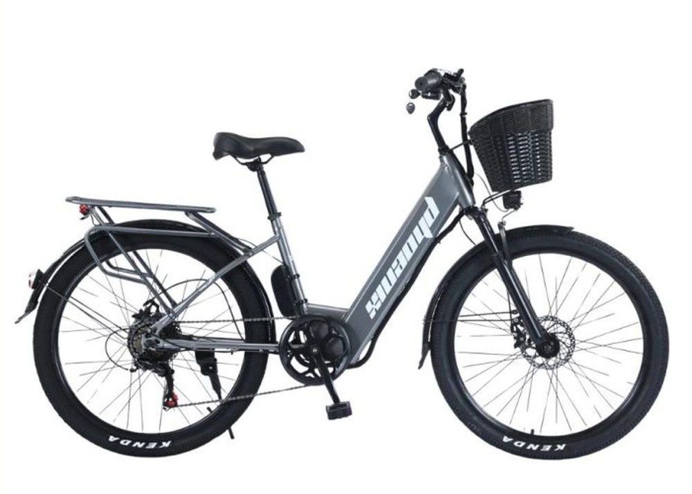 Phoenix C1 — City classic giỏ + baga