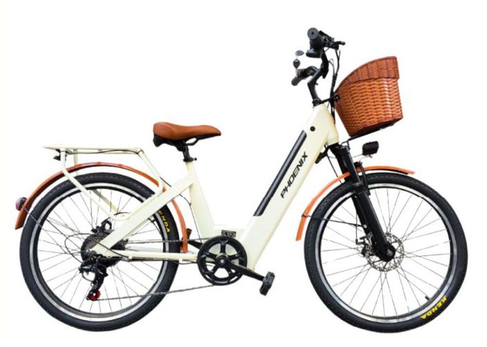 Phoenix D2 — Bánh 24" cho HSSV và người nhỏ