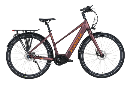 Xe đạp trợ điện Phoenix DIMANTECH-LADY