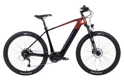 Xe đạp trợ điện Phoenix ECO-PRO