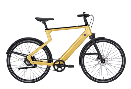 Xe đạp trợ điện Phoenix Elegance