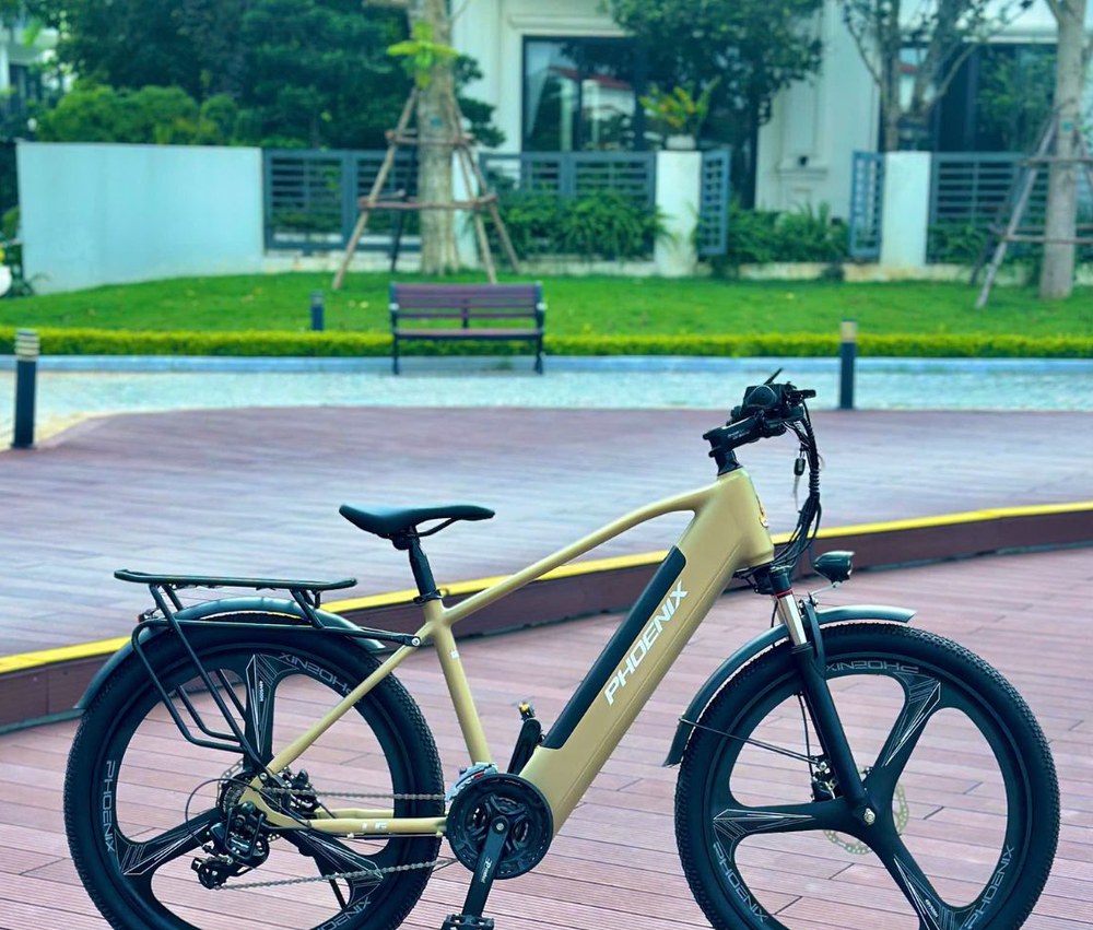 Phoenix LG — Premium flagship