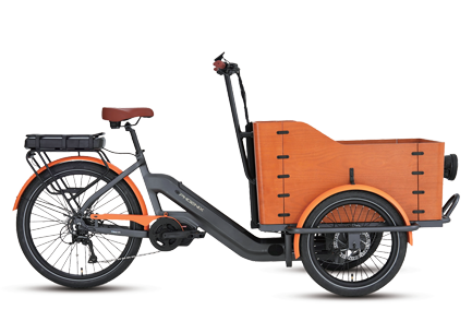Xe đạp trợ điện Phoenix TRIO F1